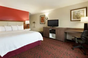 Hampton Inn Wichita Falls Sikes Senter Mall - Chambre
