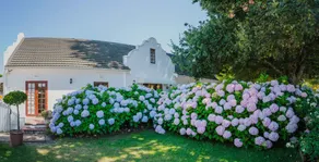 Aan de Oever Guesthouse - Reception