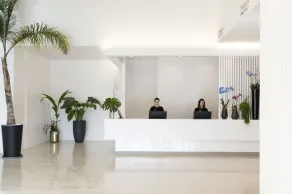 Hotel Puerta America - Réception