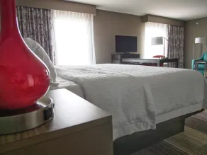 Hampton Inn & Suites Moore - Chambre
