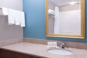 Super 8 by Wyndham Rainsville - Badezimmer