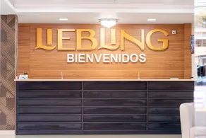 Liebling Hotel Ciudad del Este - Reception