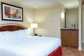 DoubleTree by Hilton Hotel Grand Rapids Airport - Chambre