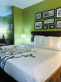 Sleep Inn & Suites Round Rock - Austin North - Chambre