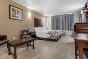 Red Roof Inn La Marque - Chambre