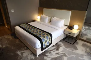 Clarks Inn Suites Raipur - Room