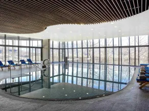 Tarcin Forest Resort & Spa Sarajevo - MGallery Collection - Piscina