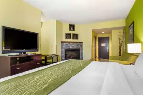Comfort Inn Athens I - 75 - Chambre