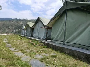 Pine Hills Nature Camp - Terrasse/gårdhave