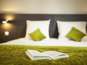 ibis Styles Compiegne - Værelse