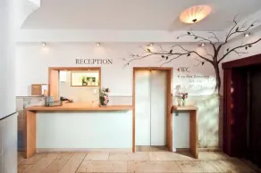 Seerose - Recepción