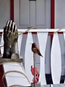 Rivermount Motel - Réception
