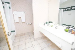 Lake Chatuge Lodge - Salle de bain