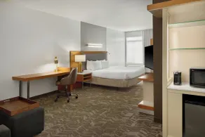Springhill Suites by Marriott Detroit Metro Airport Romulus - Værelse