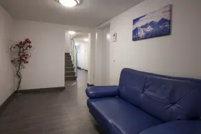Alpine Appart - Premium Family Apartments and Natural Swimming Pond - Reception