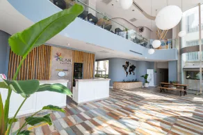 Alan Suites - Recepción