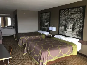 Super 8 by Wyndham Knoxville North/Powell - Chambre