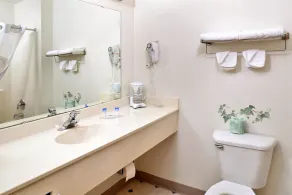 Americas Best Value Inn & Suites Spring Valley - Badezimmer