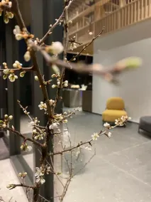 PIRA BOUTIQUE hotel - Reception