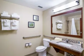 Comfort Inn Blackshear Hwy 84 - Bathroom