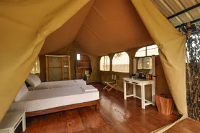 Wild Glamping Knuckles - Thema Collection - Værelse