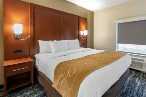 Comfort Suites West Memphis I-40 I-55 - Chambre