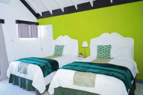 AYURVEDA RESORT - Room