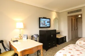 Taj Palace, New Delhi - Room