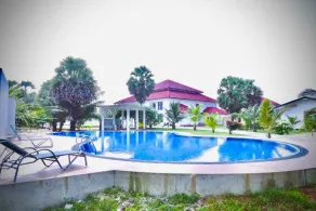 Palmyra resort - Pool