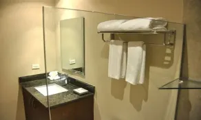 Central Park Hotel & Casino - Bathroom