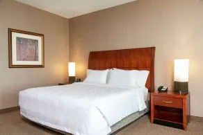 Hilton Garden Inn Columbus/Edinburgh - Habitación