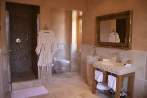Château de Béguin - Baño