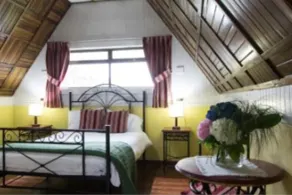 Hortensias Chalets Vara blanca - Habitación