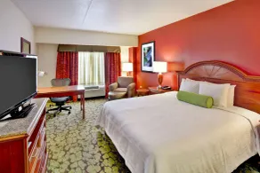 Hilton Garden Inn Chicago/Midway Airport - Chambre