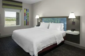 Hampton Inn & Suites Flagstaff East - Chambre