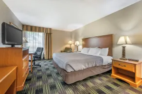 Quality Inn & Suites Near Amish Country - Habitación