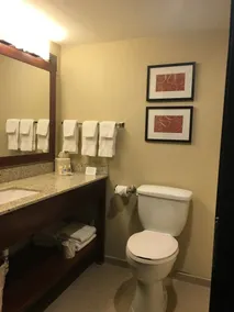 Comfort Suites Near Potomac Mills - Salle de bain