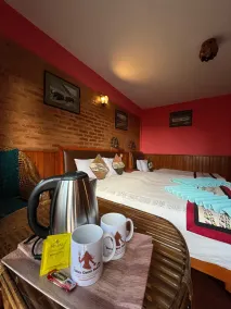 Shiva Guest House - Habitación
