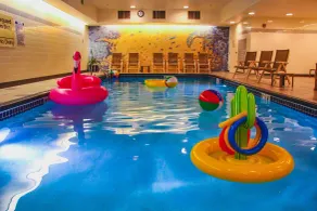 Hampton Inn & Suites Denver-Downtown - Pool