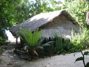 Tranquility Island Eco Dive Resort - Room