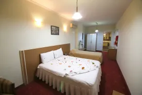 Aykut Palace Otel - Vistas desde la habitación