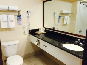 Quality Inn & Suites West Chase - Baño