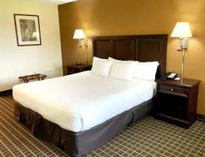 Roadstar Hotel Zephyrhills - Chambre
