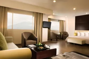 Hotel Santika Bogor - Room