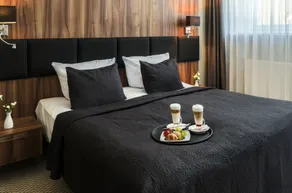 Diuna Beskidy Ustroń - dawny Kolejarz - Room