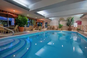Holiday Inn Express Hotel & Suites Youngstown North-Warren/Niles by IHG - Piscine