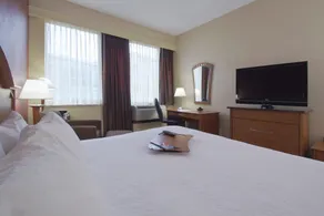 Hampton Inn & Suites Columbus-Downtown - Chambre