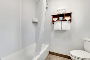 Quality Inn near Mesa Verde - Salle de bain