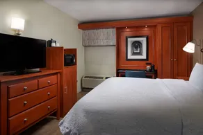 Hampton Inn Ann Arbor-South - Chambre