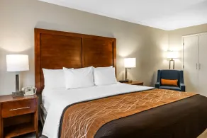 Comfort Inn Santa Monica - West Los Angeles - Chambre